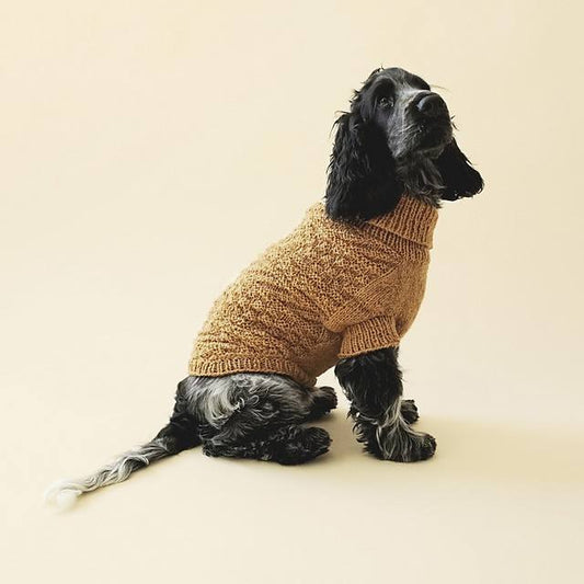 Alvar dog sweater by Sari Nordlund